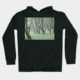 Mossy Woods Hoodie